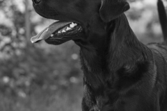 Portfolio_2