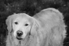 Portfolio_3